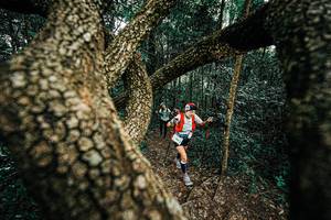 BIB: 
                            <button type="button" onclick="openModal(25393300)" class="btn btn-primary btn-sm float-right btn-popup" data-toggle="modal" data-target=".modal-high-quality">
                        <i class="fas fa-shopping-cart"></i> Add to Cart
                    </button>
                                            <button type="button" onclick="isThisMe(25393300, true)" class="btn btn-success btn-sm float-right btn-popup btn-isme hidden" data-toggle="tooltip" data-placement="bottom" title="นี่คือรูปของคุณใช่ไหม คลิกที่นี่เพื่อเอาเข้าอัลบั้ม">
                        <i class="fas fa-plus"></i> Add to album
                    </button>
                    <button type="button" onclick="isThisMe(25393300, false)" class="btn btn-warning btn-sm float-right btn-popup btn-isnotme hidden">
                        <i class="fas fa-ban"></i> Remove from album
                    </button>